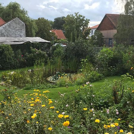 Schoene Gemuetliche Ferienwohnung Mit Kamin I Im Harz Darlingerode Buitenkant foto