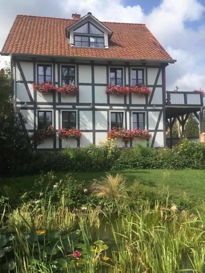 Schoene Gemuetliche Ferienwohnung Mit Kamin I Im Harz Darlingerode Buitenkant foto