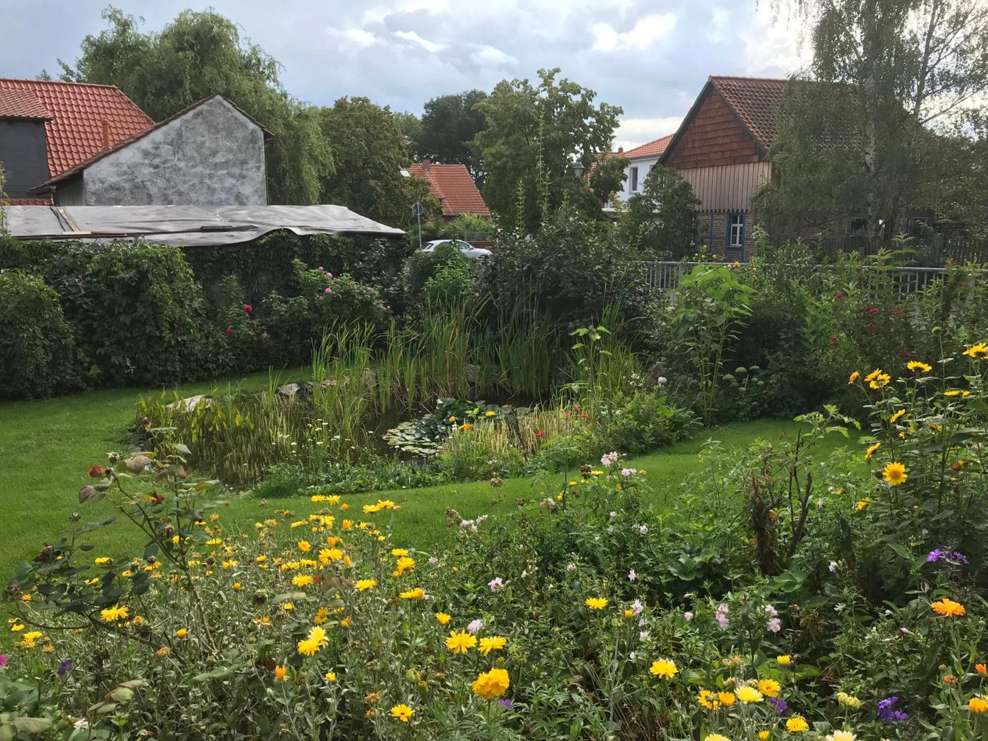 Schoene Gemuetliche Ferienwohnung Mit Kamin I Im Harz Darlingerode Buitenkant foto